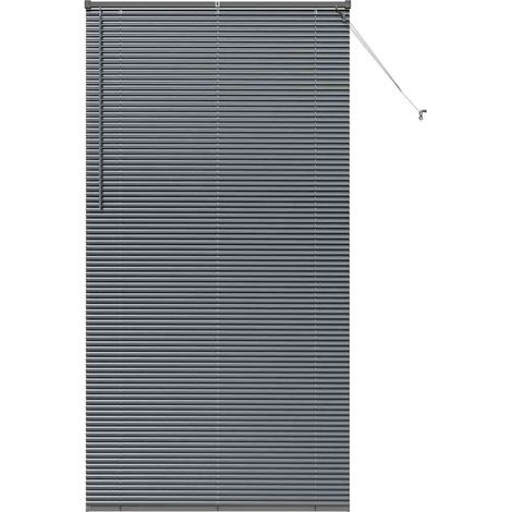 Maison Exclusive - Tendaggi a veneziana Grigio scuro 220 x 120 cm Alluminio