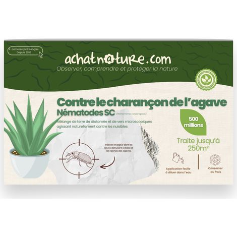 Nématodes SC contre charançon de l'agave - 500 millions - 250 m²