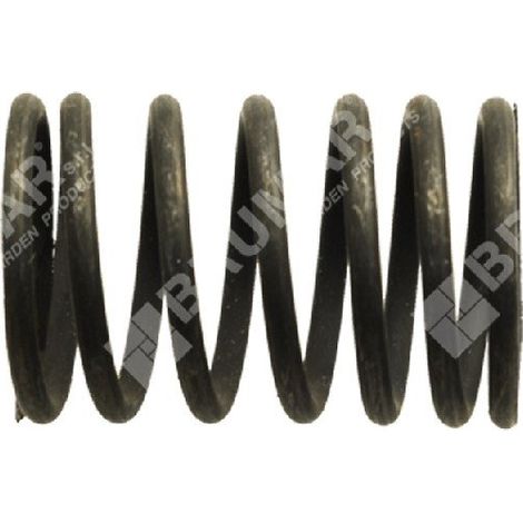Molla valvole per motori TAYA - SANDRIGARDEN Compatibile - 013420