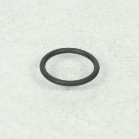 O-Ring Kurbelwellensensor für Motorrad Triumph 650 Daytona (1/4)
