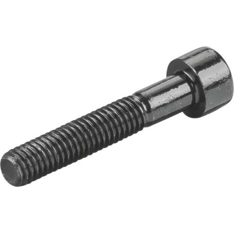 Vis cylindrique 081083