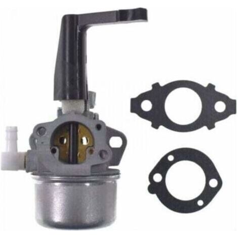 Kit de carburateur et de joint de remplacement pour Briggs & Stratton 696065, Carburateur (1/5)