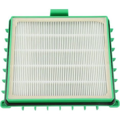 Filtre HEPA - Charbon Actif - Pour Aspirateur Rowenta Silence Force RO4421 RO4427 ZR002901 - 172 x 160 x 40 mm - 1 Pièce (1/4)