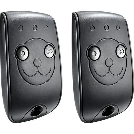 Somfy 1841026 - Télécommande Keytis RTS 2 canaux pour contrôler 2 Moteurs RTS de portails et Portes de Garage (Lot de 2)