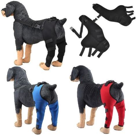 Ellbogen- und Hinterbeinschoner für Hunde, verstellbare Knieschoner, Pfotenstütze – Größe L – Rot (1/5)