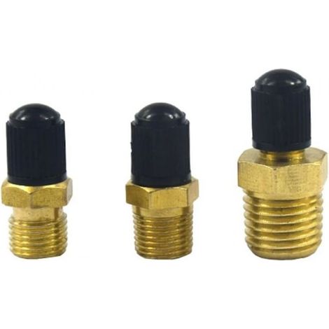 Valve à pneu - Filetage NPT 1/4" et 1 1/8" - Pour entretien pneus véhicules - Lot de 1 pièce (1/5)