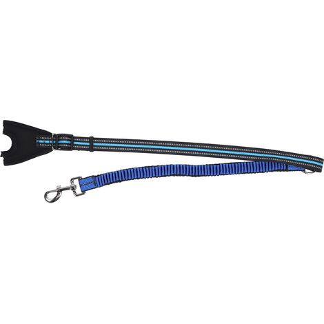 Ceinture de sécurité réfléchissante pour animaux de compagnie, laisse de promenade pour chien, sangle de dressage réfléchissante anti-perte en nylon (bleu, taille M) (1/5)