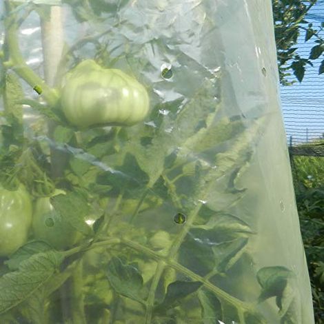 FILM TUBOLARE PER POMODORI MR TOMATO 0.60x10M TENAX PROTEZIONE GIARDINO COLTIVAZIONE (1/4)