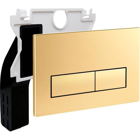 Matt Toilet Control Plate for Geberit Duofix Sigma/Delta/BASIC Gold (1/5)