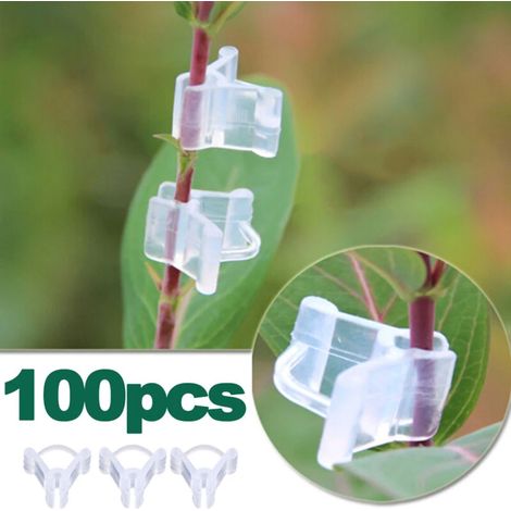 Lot de 100 pinces à greffer pour plantes grimpantes, outils de jardin, DUBUNS (1/5)