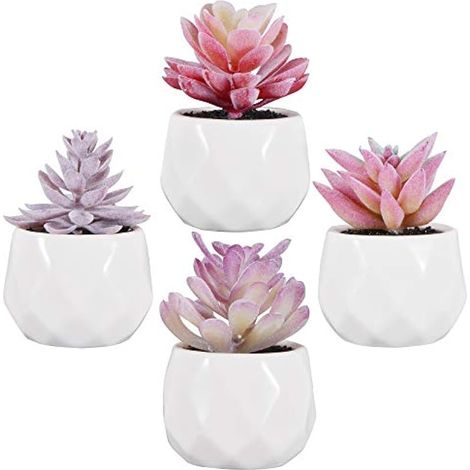 Plantes artificielles décoratives, lot de 4 petites plantes succulentes en pot pour la maison, le bureau, la salle de bain, la cuisine, l'intérieur et l'extérieur. (1/5)