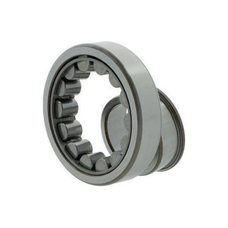 Rodamiento cilíndrico rodamiento NJ230 ECJ int. 150 mm ext. 270mm de ancho 45mm skf