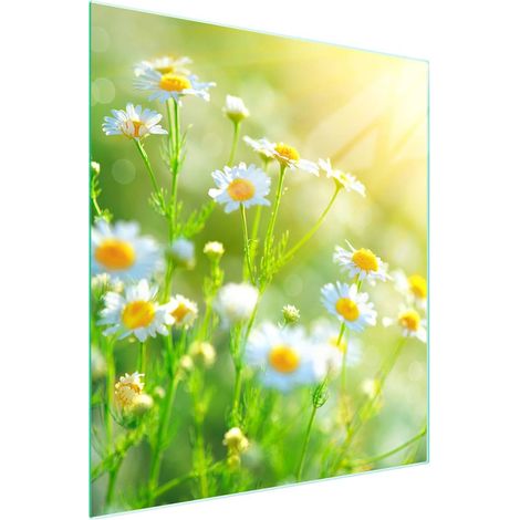 Planche à découper en verre 45x52 à fleurs (1/5)
