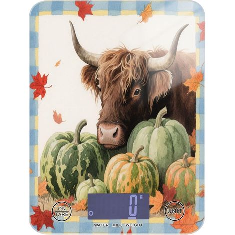 Balance alimentaire portable pour cuisine, 5 kg/5 g, automne (1/5)