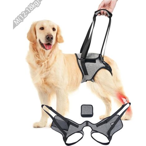 Arnés para perros L (18-26 kg),correa para perros medianos y grandes,arnés ajustable para perros y soporte para las patas traseras (1/5)