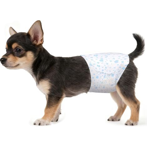 Couche pour Chien Mâle, Couches Jetables pour Chien Mâle - Couches Chien Anti-Fuites et Super Absorbantes pour la Chaleur, l'incontinence ou la Formation de Chiot 20 Paquet, S (1/5)