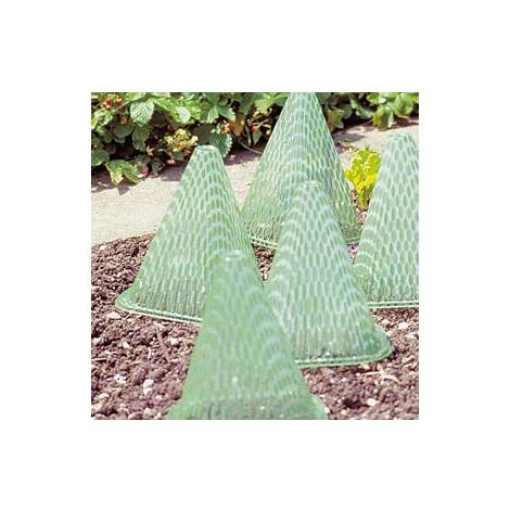 Protection plante Ø19,5x23 cm, vert 10 pièces.