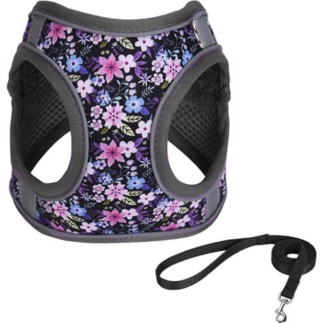 Ensemble gilet réglable en maille souple et cuir de cheval pour chiens de petite et moyenne taille (1/4)