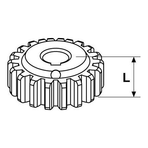 Pignone Ingranaggio Z18 M 4,0 P.12,5 L45Mm 22Mm FADINI 200220 Ricambio Per MEC 200