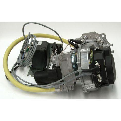 Brenner A1 BG 40 LPG für ROTEX A1 BG bis BJ 2018 - 5011828 von Daikin