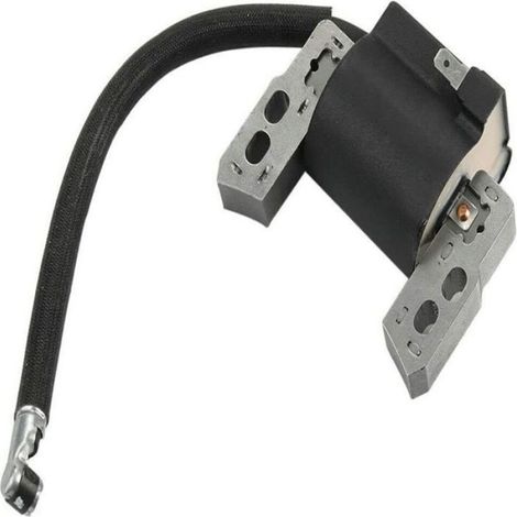Bobine d'allumage haute tension - Compatible 796964 Avec bougie - Tondeuses à gazon (1/4)
