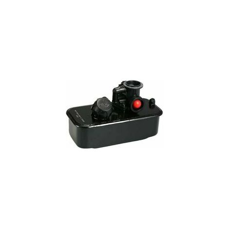 Comprenant un réservoir de carburant et un carburateur (numéros de pièce 494406 et 498809), compatibles avec diverses applications. Parfait pour la maintenance et la réparat (1/5)