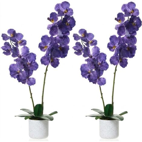 Lot de 2 Fleurs de Magnolia Artificielles 80 cm, Plante en Pot Haute Qualité, Décoration Florale Polyvalente pour Tous Espaces Intérieurs (1/5)