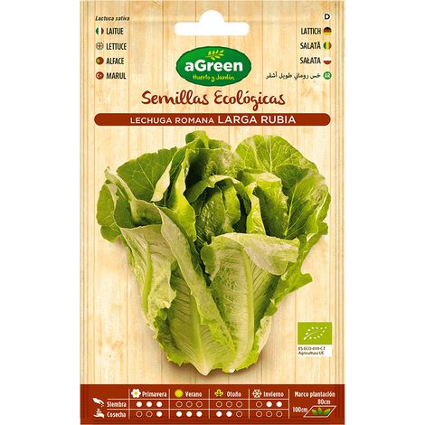 Sobre con semillas eco de lechuga romana larga agreen