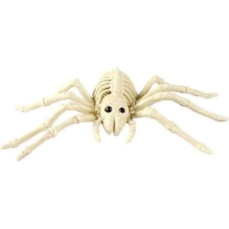 1pc Halloween animaux effrayant squelette accessoires heureux Halloween crâne effrayant animal squelette cadre (araignée) (1/4)