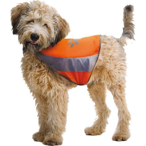 Reflektierende Jacke XS: Reflektierende Jacke für Hunde (1/3)