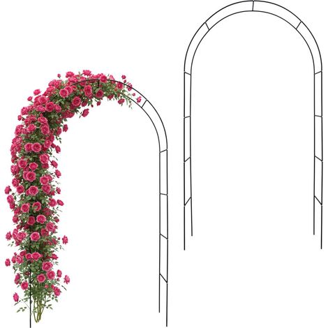 Ensemble de 2 arches en métal noir avec rosaces (1/5)