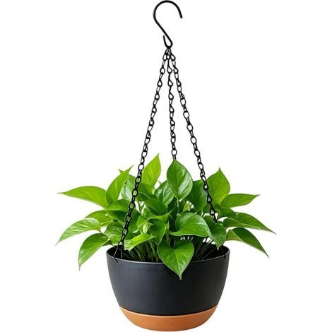 Pots de fleurs, vase décoratif suspendu avec soucoupe amovible, jardinières jardin (1/5)