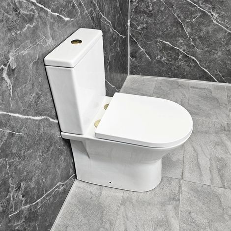 Toilet with Brushed Brass Flush Button & Hinges Molly Rimless + Soft Close Seat (1/5)