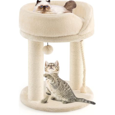 COSTWAY Árbol Rascador para Gatos, Altura 53 cm, Torre para Gatos 4 en 1 con Plataforma, Base Acolchada, Bola de Juguete y Cuerda de Sisal, Poste de Rascado (Beige) (1/5)