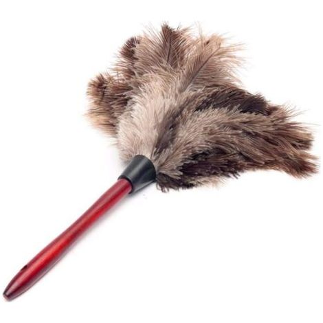 Brosse de nettoyage antistatique de la poussière de plumes d'autruche, Mini plumeau polyvalent pour la maison, nettoyeur d'intérieur et d'extérieur pour stores, clavier de cuisine, bureau intelligent (1/4)