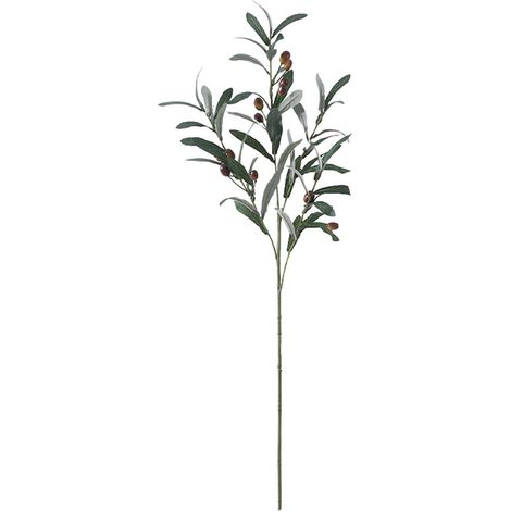 Olive Branch - Artificial - 77 Cm - Silk Foam - Accessoire Photo Décoration Florale Intérieur - 1 Pièce (1/5)