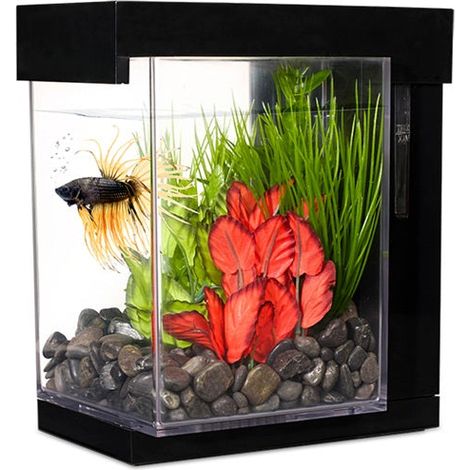 Bettera Marina EZ Care Style - 3,7L
