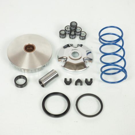 Polini Variator für Keeway 50 Focus Roller vor 2020 neu
