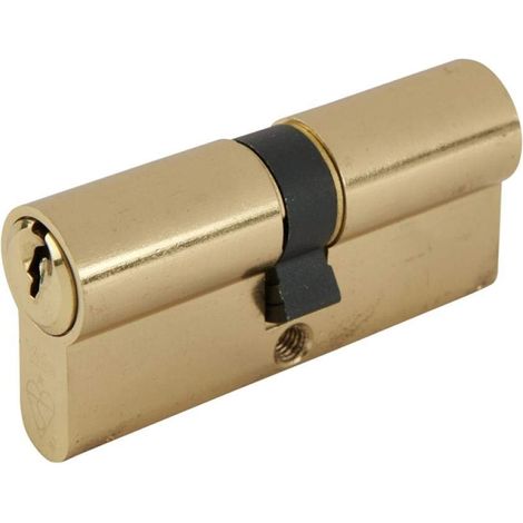 Cylindre de serrure Double profil Laiton poli Visi 40 x 50 x 100 mm (1/2)