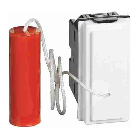 BTIKW4033 Zugtaster 10 A 250 V AC 1 P (NO) und 1 P (NC)