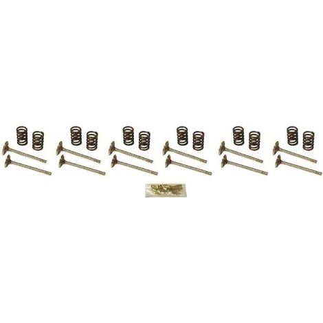 Kit valvole VAPORMATIC VPA6056