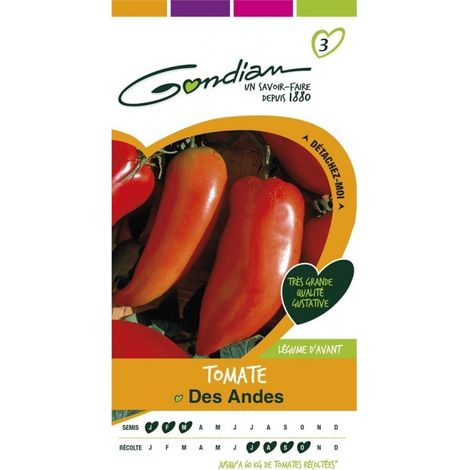 Gondian - Tomate Cornue des Andes