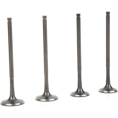 Jeu de 16 soupapes d'admission et échappement NC250 NC450, compatible moteur ZONGSHEN NC RX3 ZS177MM, pièces pour KAYO Motoland BSE Megelli Asiawing, kit remplacement haute performance. (1/5)
