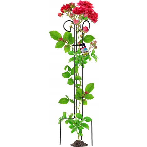 KADAX Rankhilfe aus Stahl, freistehende Pflanzenstütze für Rosen, 120 cm (1/5)