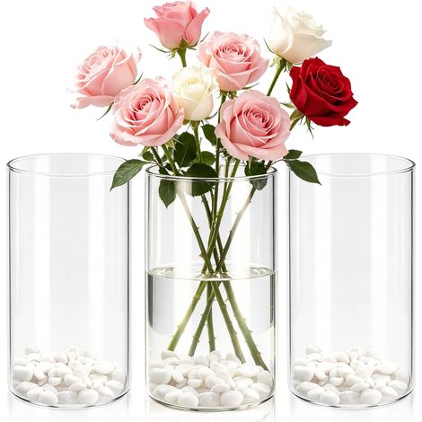 3 Pcs Vase Cylindrique 15x8.5cm, Vase Fleur Décoratif en Verre Transparent (1/5)