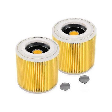 Filtre WD3 pour aspirateur Kärcher - Lot de 2 cartouches-AquaForge
