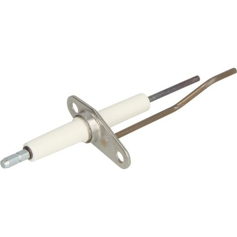 Electrode d'ionisation
