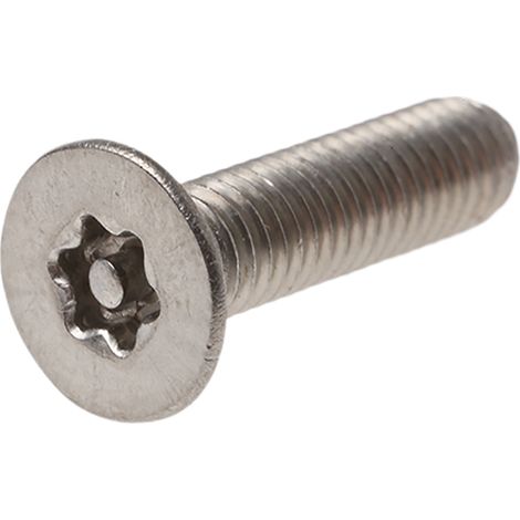 Vis de sécurité inviolable, M5 x 20mm, tête plate, en Acier Inoxydable A2 304 ( Prix pour Sachet de 50 ) (1/2)