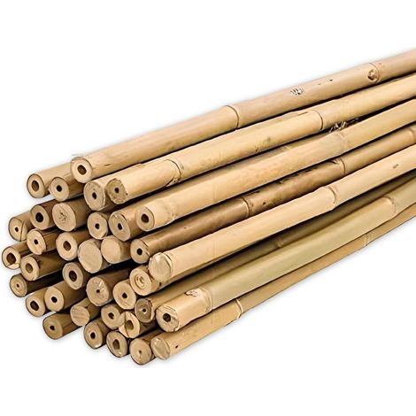 Tuteur Bamboo 45 Cm Pack 20 Units Ø 6-8 Mm   Piquets pour Plantes de Différentes Tailles. Tiges De Bambou Résistantes (1/5)