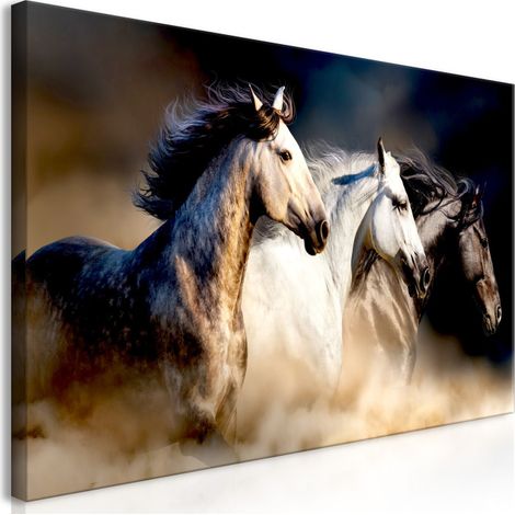 Tableau Imprimé "Sons of the Wind Wide" 60 x 120 cm (1/2)
